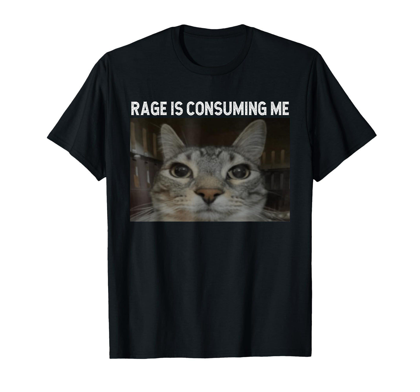 Rage Is Consuming Me Cat Meme Silly Staring Cat Funny Meme T-Shirt for Men Women Kids