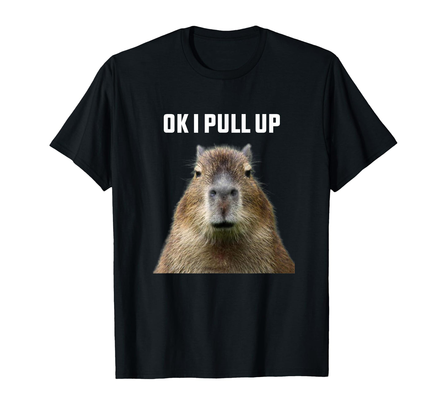 Ok I Pull Up Capybara T-Shirt, Black