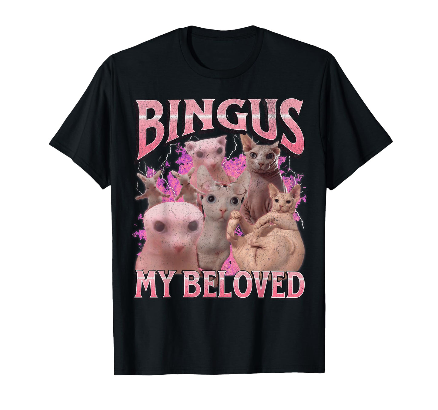 Bingus My Beloved Funny Sphinx Cat Meme Bootleg Graphic T-Shirt for Men Women Kids